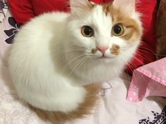 -成都民大动物医院