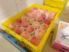 -老袁家蜜桃农场·阳山水蜜桃