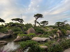 -罗红摄影艺术馆