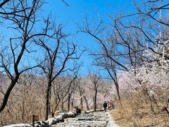 -阳台山自然风景区