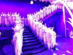 -格乐利雅婚礼艺术中心(浦东花木店)
