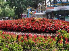 -长春市南湖公园