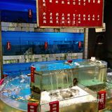 抱歉[调皮]我的老婶子隐藏这么久是时候该爆🔥了