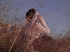 -映月湖中央公园