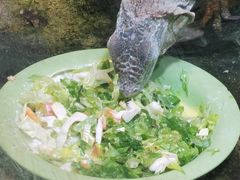 -上海大自然野生昆虫馆(东方明珠·爬宠昆虫探索中心)
