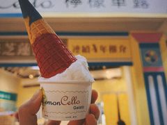 -柠檬车露(卖草地店)