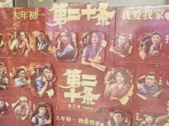 -华谊兄弟影院(IMAX洋桥店)