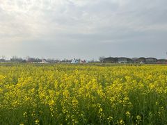 -中国天府农业博览园