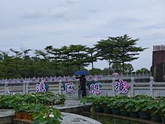 -广州莲花山旅游区
