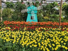 -南宫五洲植物乐园