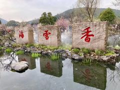-香雪海