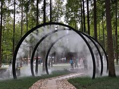 -黄海国家森林公园