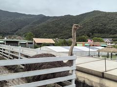 -宁波九龙湖开元度假村