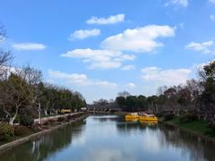 -上海海湾国家森林公园