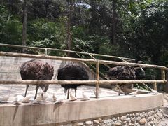 -燕塞湖鸟语林景区