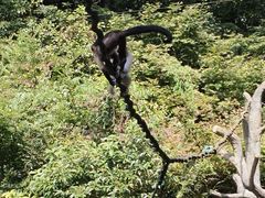 -宁波野生动物园