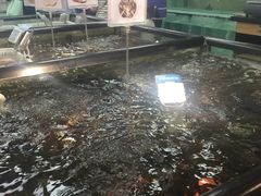 -盒马渔市餐厅