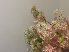 -左舞日本料理