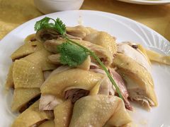 -巫记鸡饭店