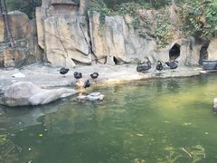 -燕塞湖鸟语林景区