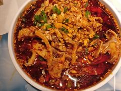 -宽窄巷成都菜(青岛路万达广场店)