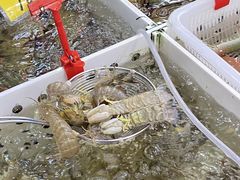 -华源餐厅·海鲜大排档(日月贝店)