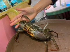 -米多分·越南小馆(南海万科广场店)
