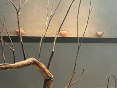 -喜茶(深圳万象城黑金店)