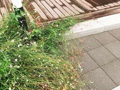 门面-匠造烘焙(上海湾店)