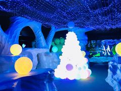 -秦皇岛乐岛海洋王国