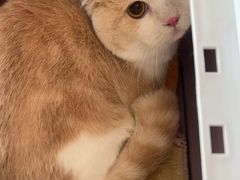 -艾贝尔宠物医院 ·中兽医·宠保定点(北门桥店)