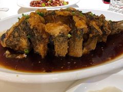-金春禧(世茂国际广场店)