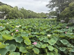 -鹤冈八幡宫