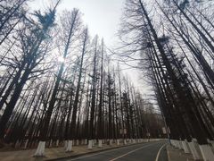 -大连理工大学(凌水校区)