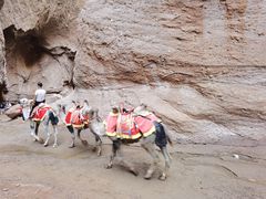 -天山神秘大峡谷