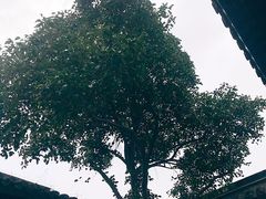 -梦溪园(中营街)