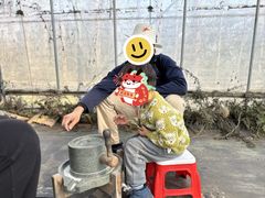 -前小桔亲子创意农场·草莓采摘·露营烧烤