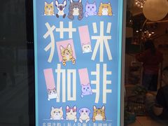 -飞行喵MR PILOT|猫舍·猫咖(静安大融城店)