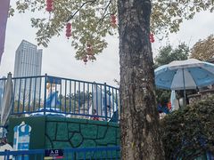 -南湖梦幻岛