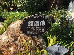 -大理地热国