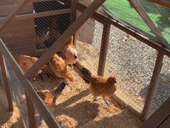 -HERRE·FARM 赫尔露营农场·团建聚会包场