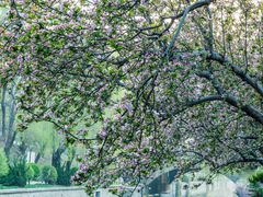 -元大都城垣遗址公园