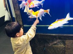 -锦色烤鸭·本地菜(学院路店)