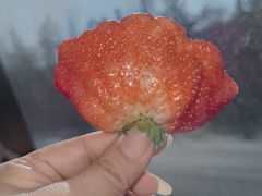 -异特麻辣香锅·烤鱼(怀柔店)