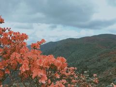 -永州阳明山国家森林公园