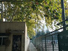 -陕西师范大学(雁塔校区)