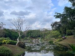 -云溪植物园