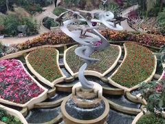 -南山植物园