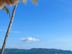 -The Sunny Side Cafe Station 1