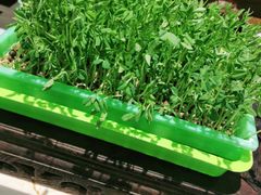-旺顺阁海鲜广场(亚运村店)